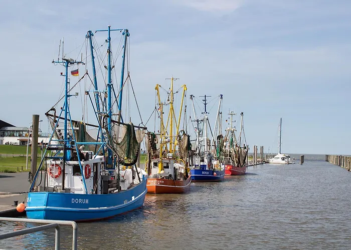 Дом отдыха Vogelsand 10 *