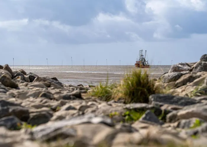 Vogelsand 10 Дом отдыха Дорум-Нойфельд